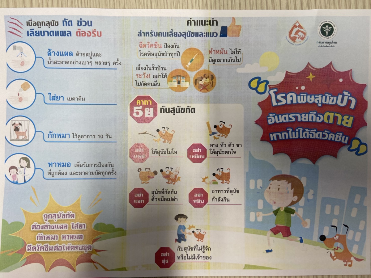 โรคพิษสุนัขบ้า อันตรายถึงตาย หากไม่ได้ฉีดวัคซีน