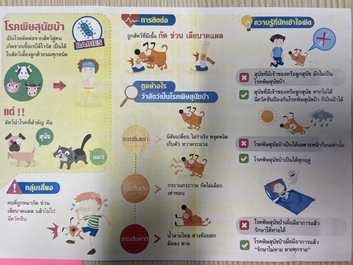 โรคพิษสุนัขบ้า อันตรายถึงตาย หากไม่ได้ฉีดวัคซีน